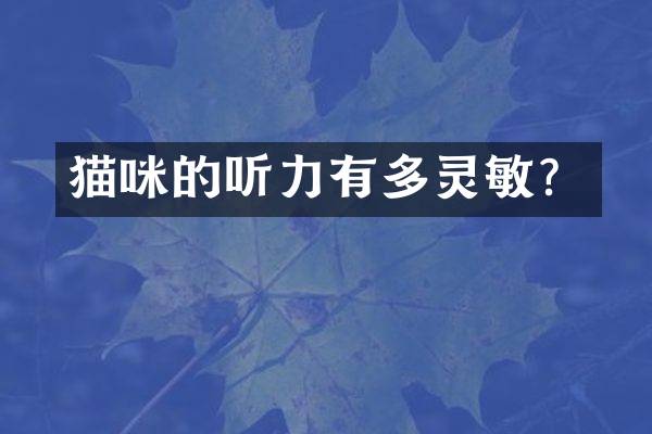 猫咪的听力有多灵敏？
