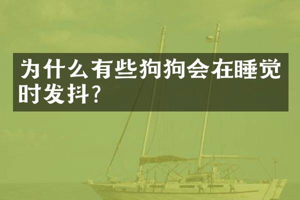 为什么有些狗狗会在睡觉时发抖？