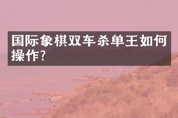 国际象棋双车杀单王如作？