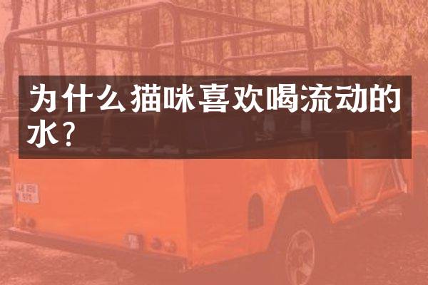 为什么猫咪喜欢喝流动的水？