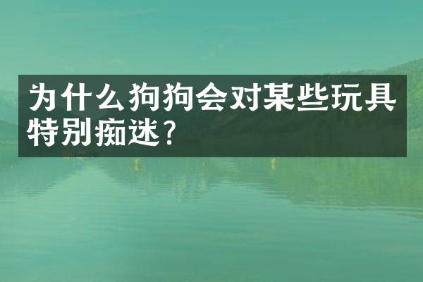 为什么狗狗会对某些玩具特别痴迷？