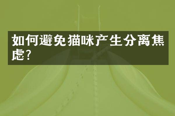 如何避免猫咪产生分离焦虑？