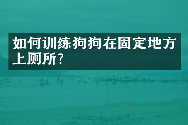 如何训练狗狗在固定地方上厕所？
