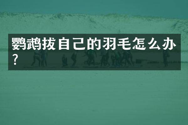 鹦鹉拔自己的羽毛怎么办？