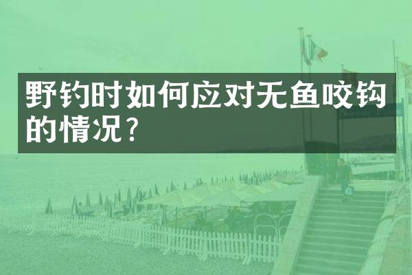 野钓时如何应对无鱼咬钩的情况？