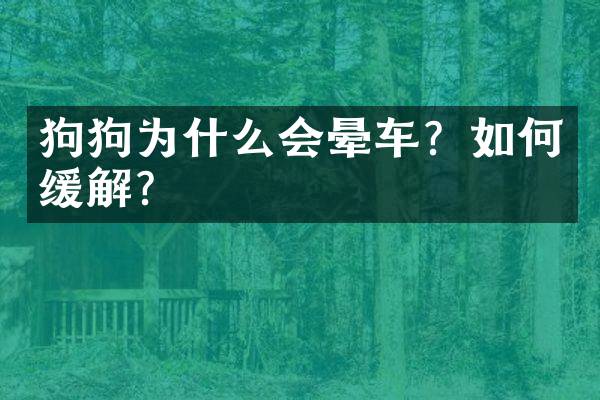 狗狗为什么会晕车？如何缓解？