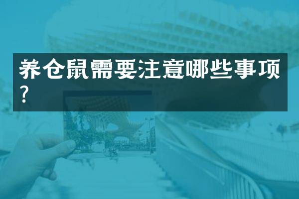 养仓鼠需要注意哪些事项？