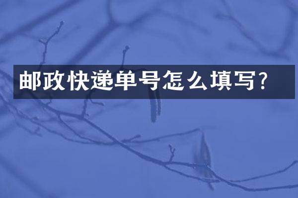 邮政快递单号怎么填写？