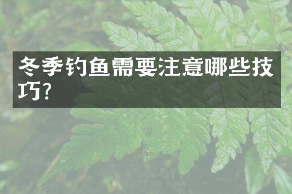 冬季钓鱼需要注意哪些技巧？
