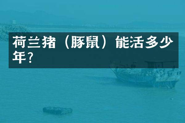 荷兰猪（豚鼠）能活多少年？