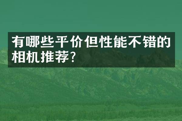 有哪些平价但性能不错的相机推荐？