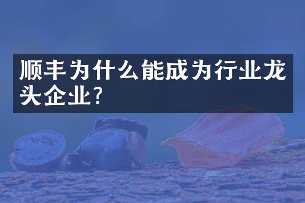 顺丰为什么能成为行业龙头企业？