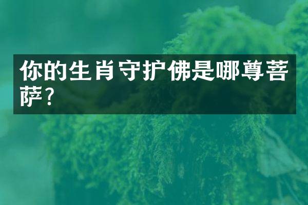你的生肖守护佛是哪尊菩萨？
