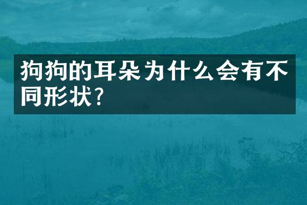 狗狗的耳朵为什么会有不同形状？