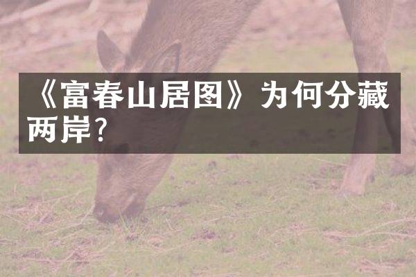 《富春山居图》为何分藏两岸？