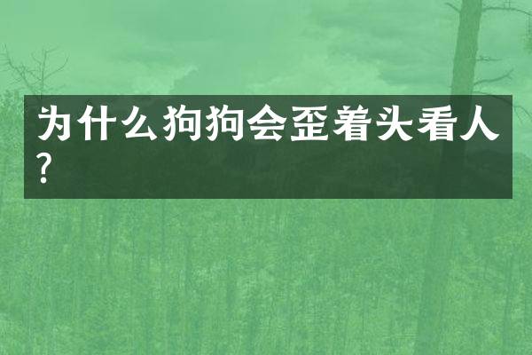 为什么狗狗会歪着头看人？