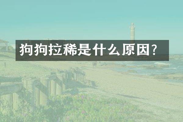 狗狗拉稀是什么原因？