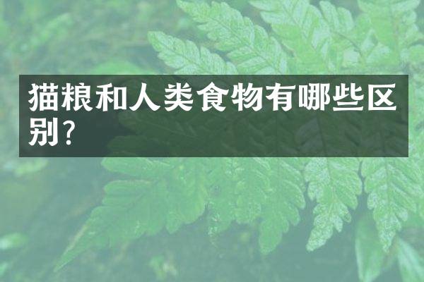 猫粮和人类食物有哪些区别？