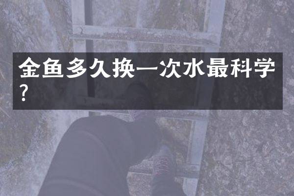 金鱼多久换一次水最科学？