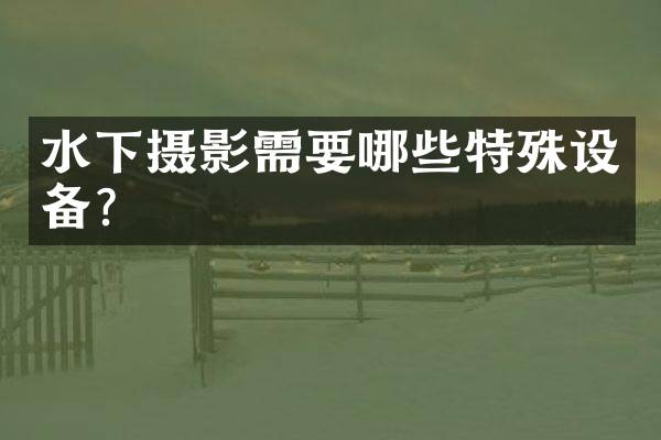 水下摄影需要哪些特殊设备？