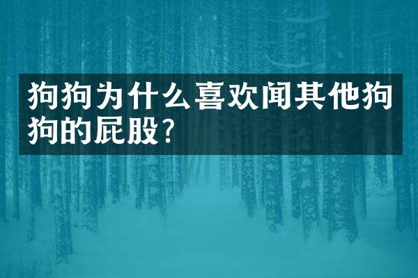 狗狗为什么喜欢闻其他狗狗的屁股？