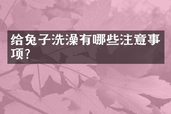 给兔子洗澡有哪些注意事项？