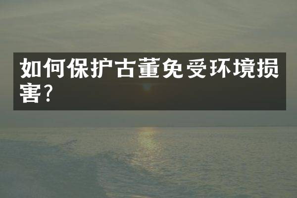 如何保护古董免受环境损害？