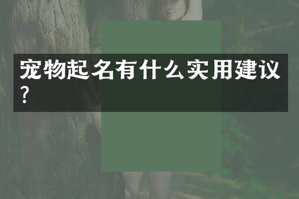 宠物起名有什么实用建议？