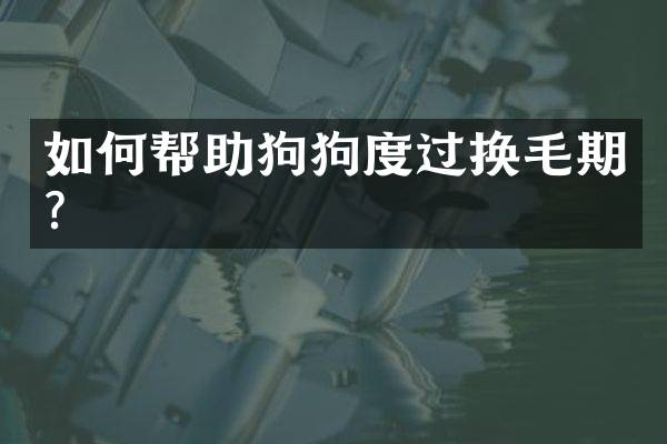 如何帮助狗狗度过换毛期？