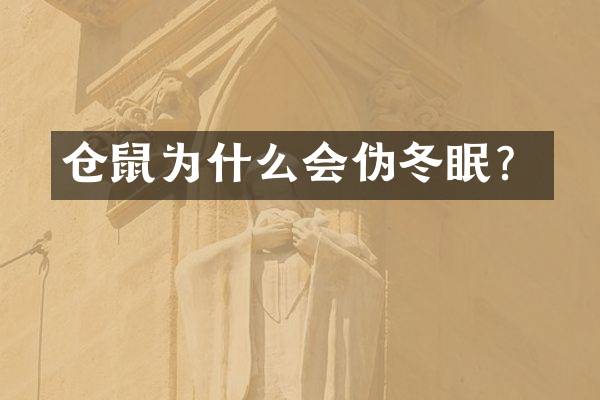 仓鼠为什么会伪冬眠？