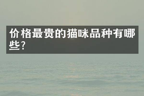 价格最贵的猫咪品种有哪些？