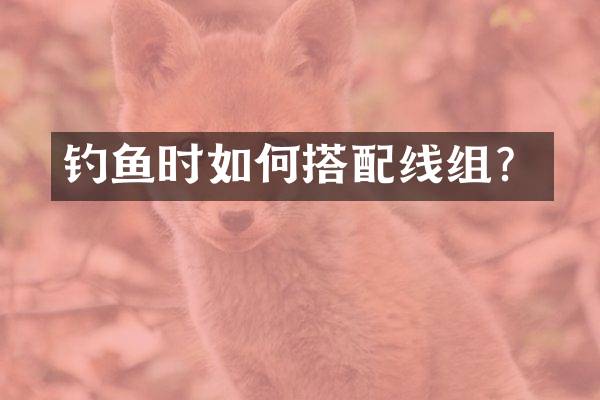 钓鱼时如何搭配线组？