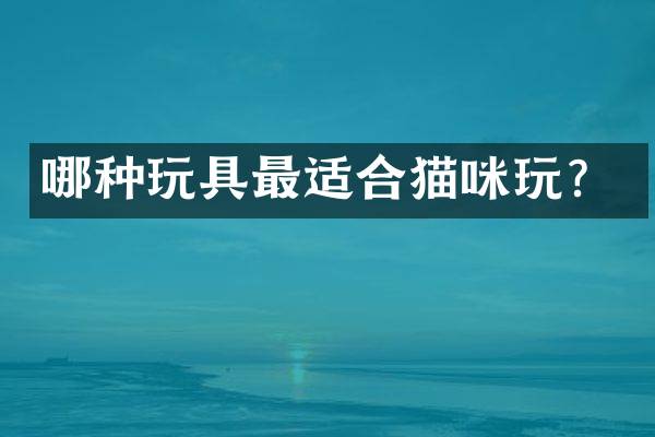 哪种玩具最适合猫咪玩？