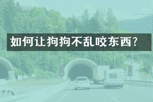 如何让狗狗不乱咬东西？