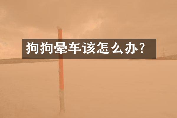狗狗晕车该怎么办？