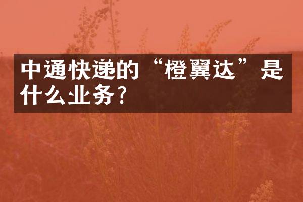 中通快递的&ldquo;橙翼达&rdquo;是什么业务？
