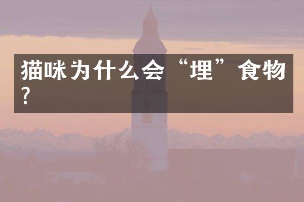 猫咪为什么会&ldquo;埋&rdquo;食物？