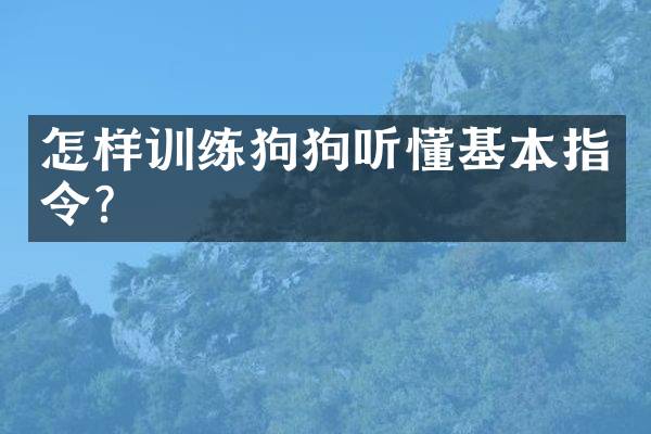 怎样训练狗狗听懂基本指令？