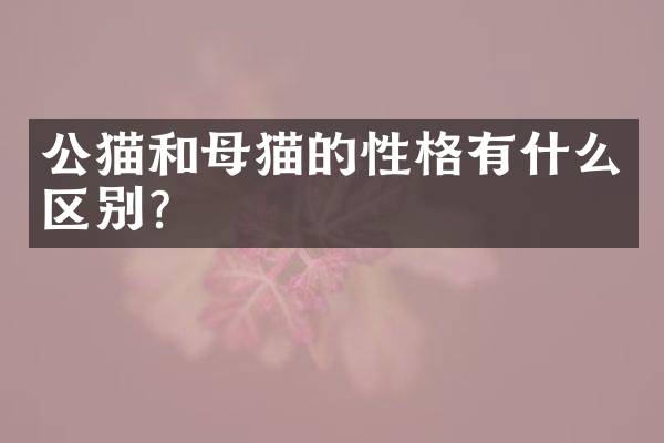 公猫和母猫的性格有什么区别？