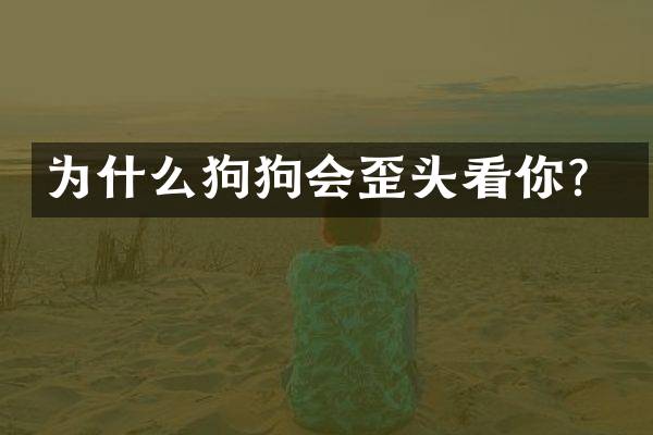 为什么狗狗会歪头看你？