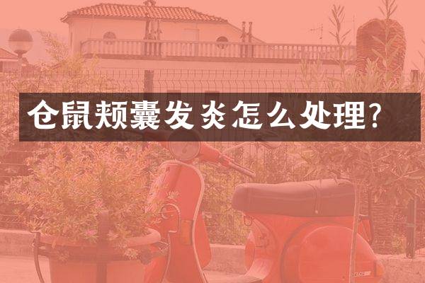 仓鼠颊囊发炎怎么处理？