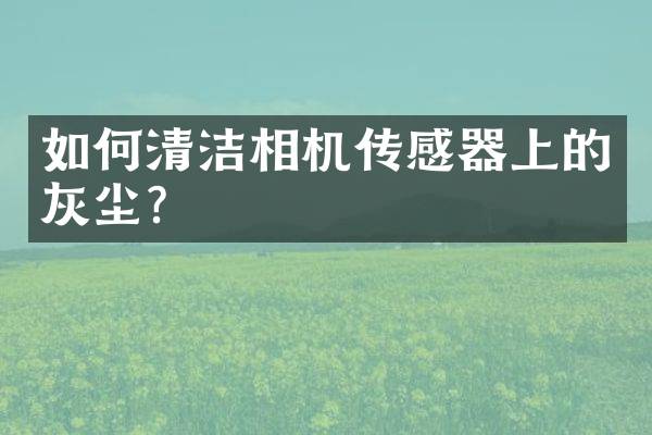 如何清洁相机传感器上的灰尘？