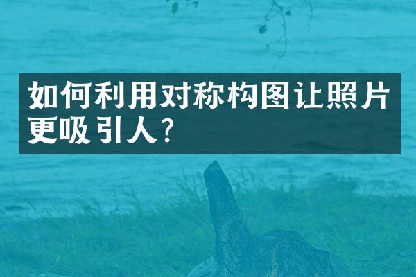 如何利用对称构图让照片更吸引人？