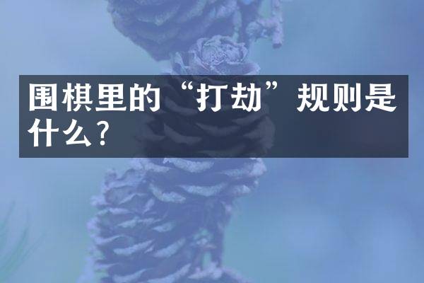 围棋里的&ldquo;打劫&rdquo;规则是什么？