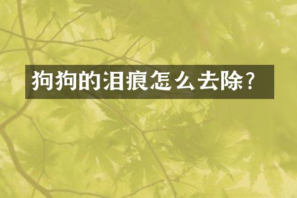 狗狗的泪痕怎么去除？