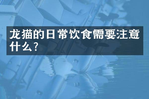 龙猫的日常饮食需要注意什么？
