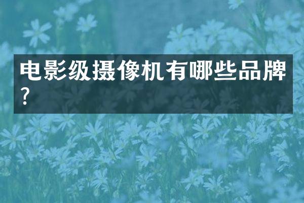 电影级摄像机有哪些品牌？