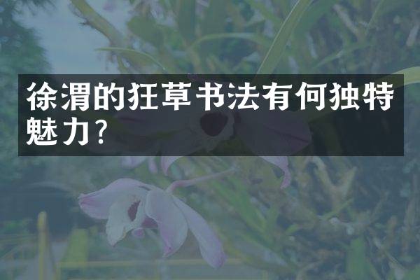 徐渭的狂草书法有何独特魅力？