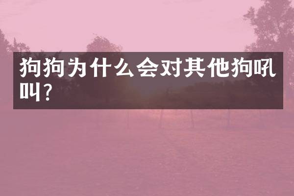 狗狗为什么会对其他狗吼叫？