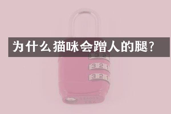 为什么猫咪会蹭人的腿？